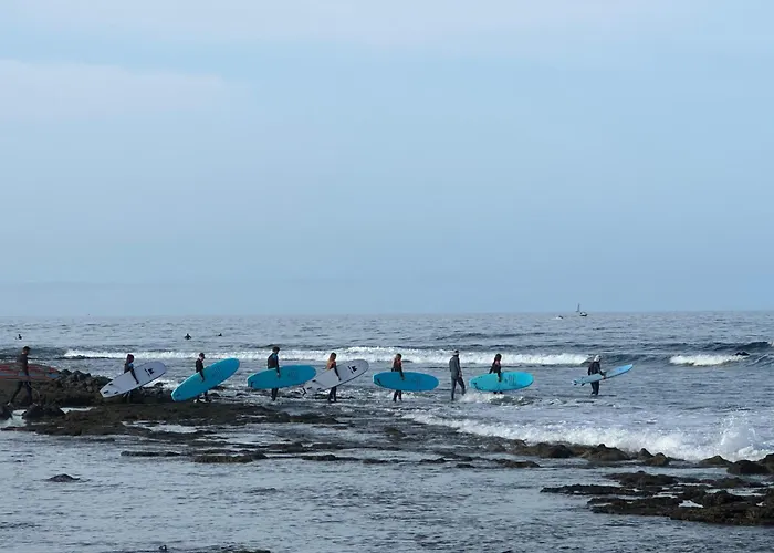 Endless Summer Vibes